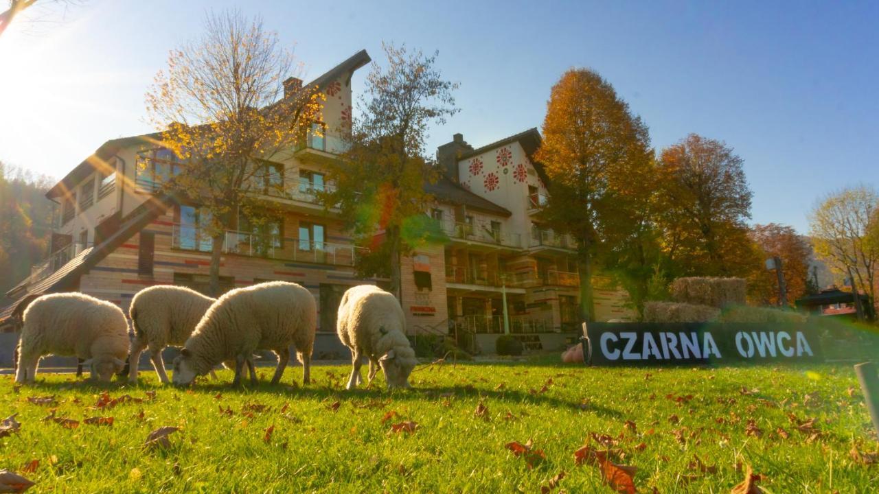 Hotel Piwniczna Spa&Conference Dış mekan fotoğraf