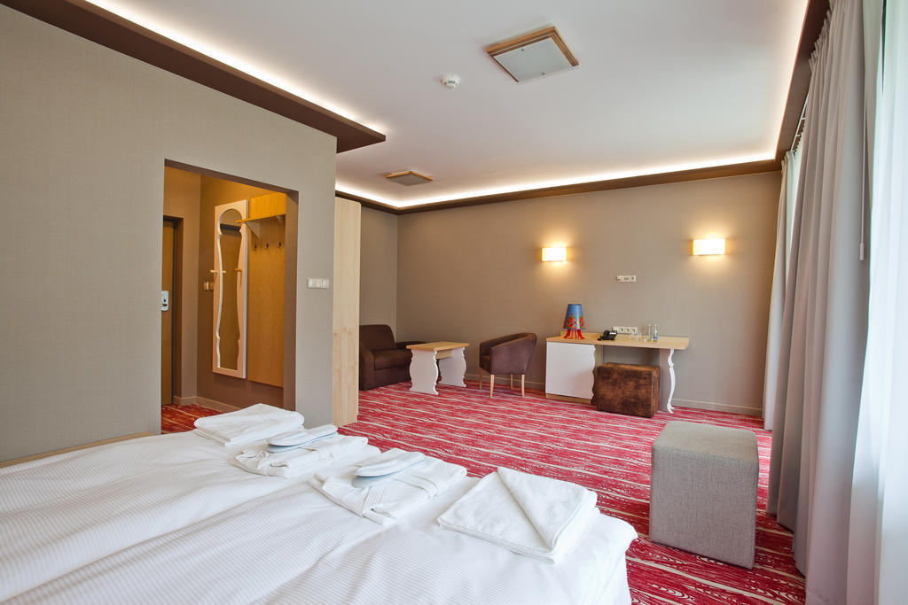 Hotel Piwniczna Spa&Conference Oda fotoğraf