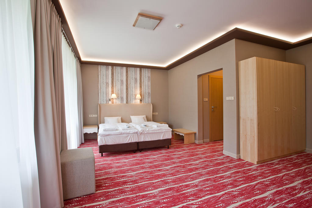 Hotel Piwniczna Spa&Conference Oda fotoğraf